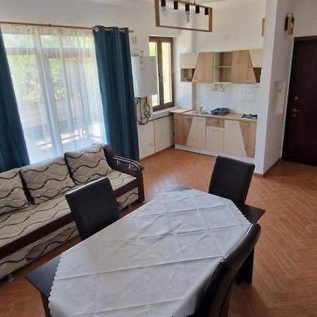 Casa Francesca Διαμέρισμα Comanesti  Εξωτερικό φωτογραφία