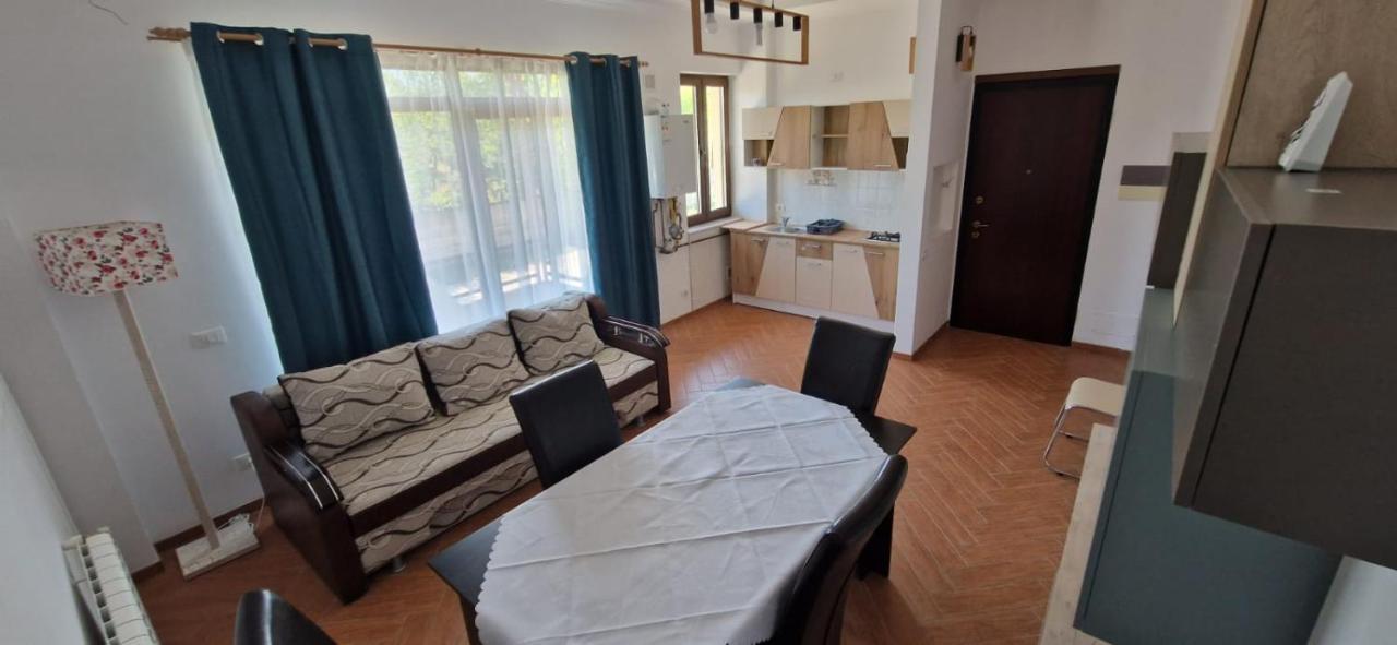 Casa Francesca Διαμέρισμα Comanesti  Εξωτερικό φωτογραφία