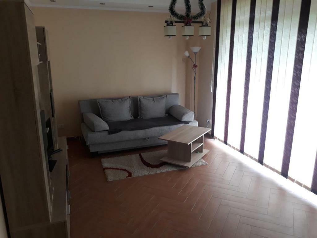 Casa Francesca Διαμέρισμα Comanesti  Εξωτερικό φωτογραφία